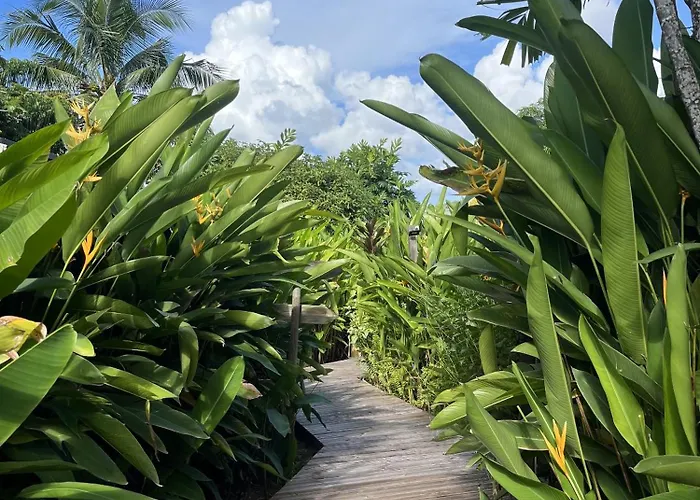 Eden Paradise Spa Ecolodge Sainte-Luce